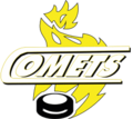 Cardiff Comets