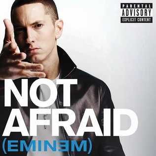 <span class="mw-page-title-main">Not Afraid</span> 2010 single by Eminem