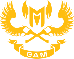 <span class="mw-page-title-main">GAM Esports</span> Vietnamese League of Legends team