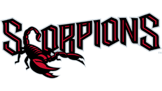 <span class="mw-page-title-main">Scottsdale Scorpions</span> Professional baseball team