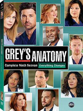 <i>Greys Anatomy</i> (season 9) Season of television series