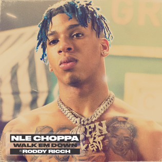 <span class="mw-page-title-main">Walk Em Down</span> 2020 song by NLE Choppa featuring Roddy Ricch