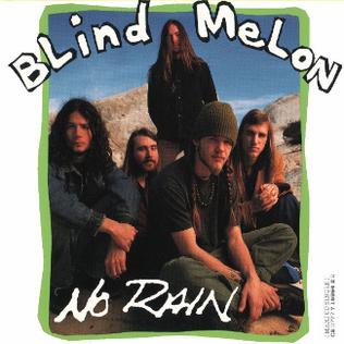 <span class="mw-page-title-main">No Rain</span> 1993 single by Blind Melon