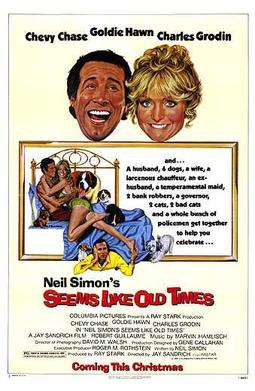 <i>Seems Like Old Times</i> (film) 1980 film by Jay Sandrich