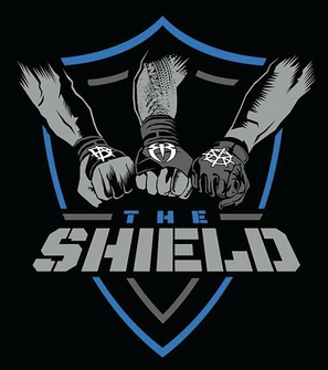 <span class="mw-page-title-main">The Shield (professional wrestling)</span> Professional wrestling stable