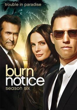 <i>Burn Notice</i> season 6 Season of television series