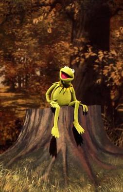 <span class="mw-page-title-main">Bein' Green</span> 1970 song written by Joe Raposo, originally performed by Jim Henson as Kermit the Frog