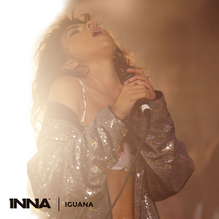 <span class="mw-page-title-main">Iguana (song)</span> 2018 song by Inna