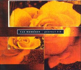 <span class="mw-page-title-main">Perfect Fit</span> 1995 single by Van Morrison