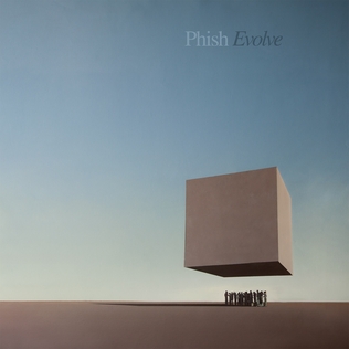 <i>Evolve</i> (Phish album) 2024 studio album by Phish