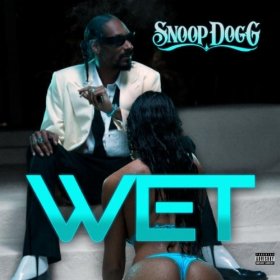 <span class="mw-page-title-main">Wet (Snoop Dogg song)</span> 2010 single by Snoop Dogg