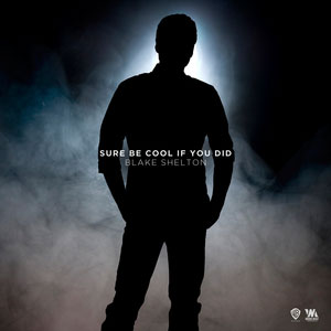 <span class="mw-page-title-main">Sure Be Cool If You Did</span> 2013 single by Blake Shelton