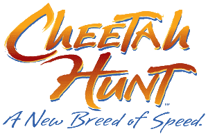 <span class="mw-page-title-main">Cheetah Hunt</span> Amusement ride in Tampa, Florida