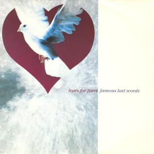 <span class="mw-page-title-main">Famous Last Words (Tears for Fears song)</span> 1990 single by Tears for Fears