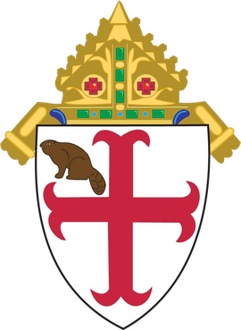 <span class="mw-page-title-main">Episcopal Diocese of Albany</span> Diocese of the Episcopal Church in the United States