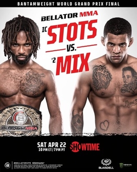 <span class="mw-page-title-main">Bellator 295</span> Mixed martial arts event in 2022