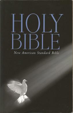 <span class="mw-page-title-main">New American Standard Bible</span> English translation of the Bible