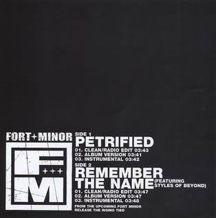 <span class="mw-page-title-main">Remember the Name</span> 2005 single by Fort Minor featuring Styles of Beyond