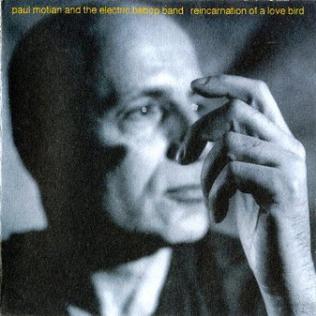 <i>Reincarnation of a Love Bird</i> 1994 studio album by Paul Motian