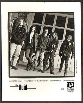 <span class="mw-page-title-main">The Fluid</span> American rock band