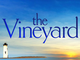 <i>The Vineyard</i> (American TV series) American TV series or program