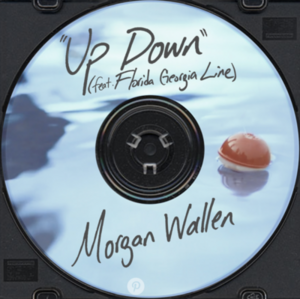 <span class="mw-page-title-main">Up Down (Morgan Wallen song)</span> 2017 single by Morgan Wallen featuring Florida Georgia Line