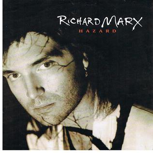 <span class="mw-page-title-main">Hazard (song)</span> 1992 single by Richard Marx