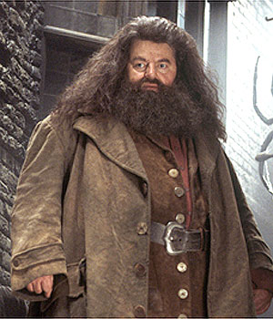 <span class="mw-page-title-main">Rubeus Hagrid</span> Fictional character from Harry Potter