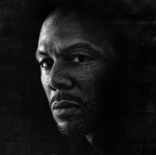 <i>Nobodys Smiling</i> 2014 studio album by Common