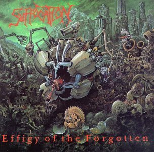 <i>Effigy of the Forgotten</i> 1991 studio album by Suffocation