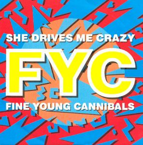 <span class="mw-page-title-main">She Drives Me Crazy</span> 1988 song by Fine Young Cannibals