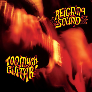 <i>Too Much Guitar</i> 2004 studio album by Reigning Sound