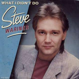 <span class="mw-page-title-main">What I Didn't Do</span> 1984 single by Steve Wariner