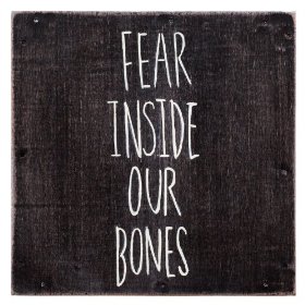 <i>Fear Inside Our Bones</i> 2013 studio album by The Almost