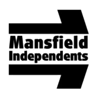 <span class="mw-page-title-main">Mansfield Independents</span> Political party in the United Kingdom