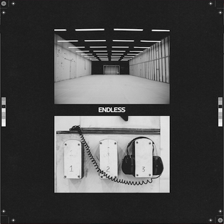 <i>Endless</i> (Frank Ocean album) 2016 visual album by Frank Ocean