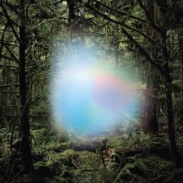 <i>Ghosts of the Forest</i> (album) 2019 studio album by Ghosts of the Forest (a side project by Phish guitarist Trey Anastasio)