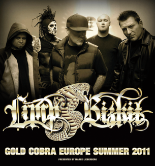 <span class="mw-page-title-main">Gold Cobra Tour</span> 2010–11 concert tour by Limp Bizkit