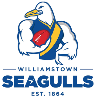 <span class="mw-page-title-main">Williamstown Football Club</span> Australian rules football club