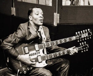 <span class="mw-page-title-main">Earl Hooker</span> American blues guitarist