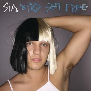 <span class="mw-page-title-main">Bird Set Free</span> 2015 promotional single by Sia