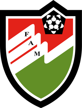 <span class="mw-page-title-main">Football Association of Maldives</span> Governing body for football in the Maldives