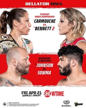 <span class="mw-page-title-main">Bellator 294</span> Mixed martial arts event in 2022