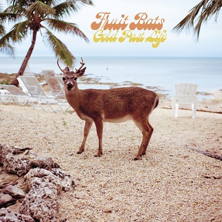 <i>Gold Past Life</i> 2019 studio album by Fruit Bats