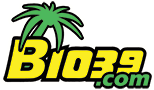 <span class="mw-page-title-main">WXKB</span> Contemporary hit radio station in Cape Coral, Florida