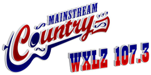 <span class="mw-page-title-main">WXLZ-FM</span> Radio station in Lebanon, Virginia