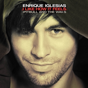 <span class="mw-page-title-main">I Like How It Feels</span> Enrique Iglesias single