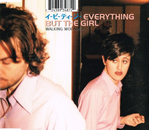 <span class="mw-page-title-main">Walking Wounded (Everything but the Girl song)</span> 1996 single by Everything but the Girl