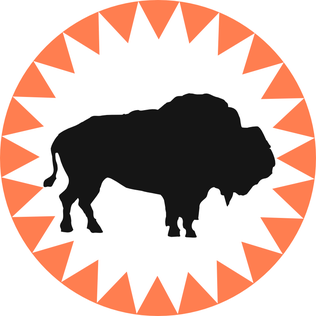 <span class="mw-page-title-main">Houston Buffaloes</span> Minor league baseball team