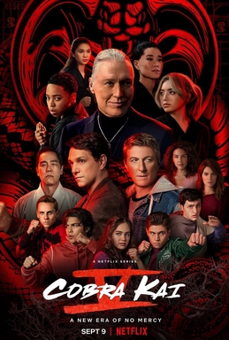 <i>Cobra Kai</i> season 5 Season of television series